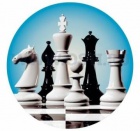 Новогодний турнир МО Сертолово по шахматам.