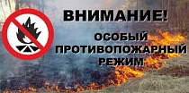 Об установлении особого противопожарного режима на территории Ленинградской области.