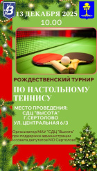 Турнир по настольному теннису.