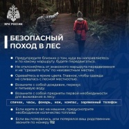 Перед выходом в лес.