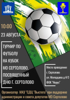 Турнир по футболу.