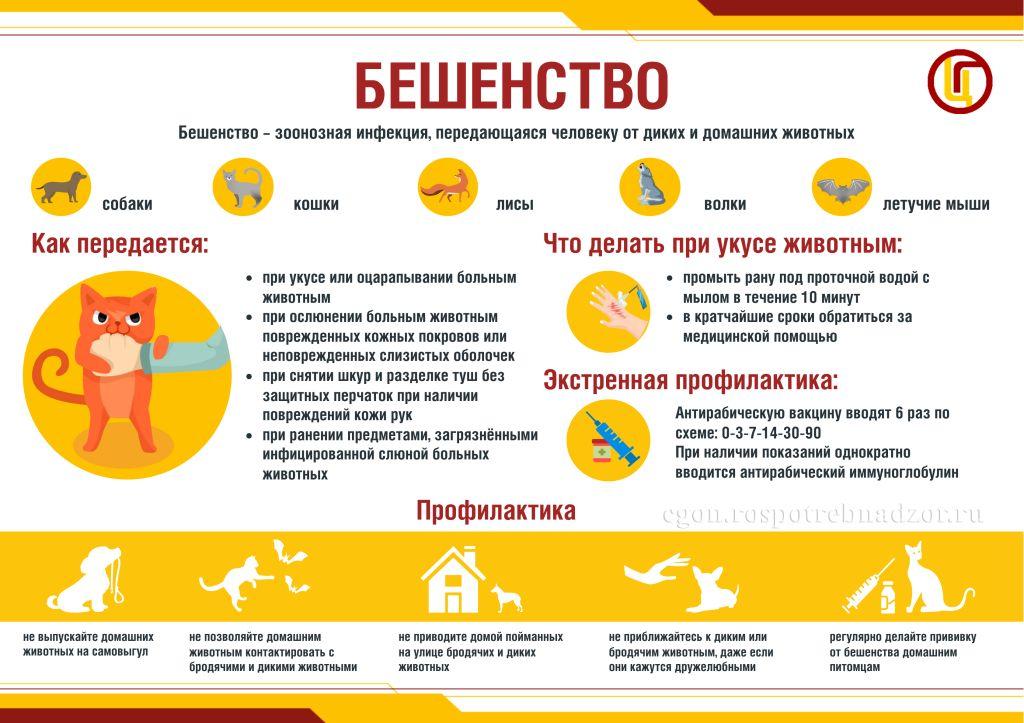 Бешенство__.jpg