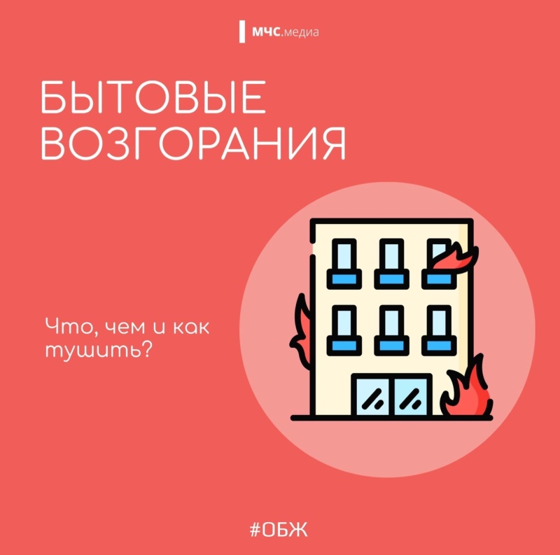 e8932b5d6250d7fc6780817304164d72__800x800.jpg