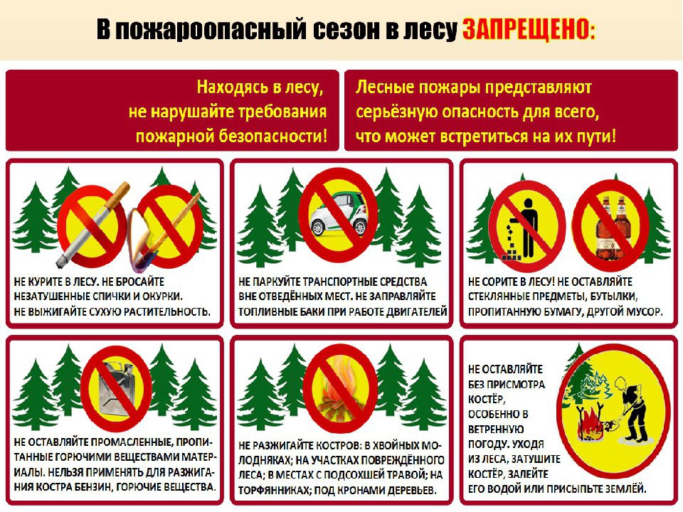 В пожароопасный период в лесу запрещено.jpg