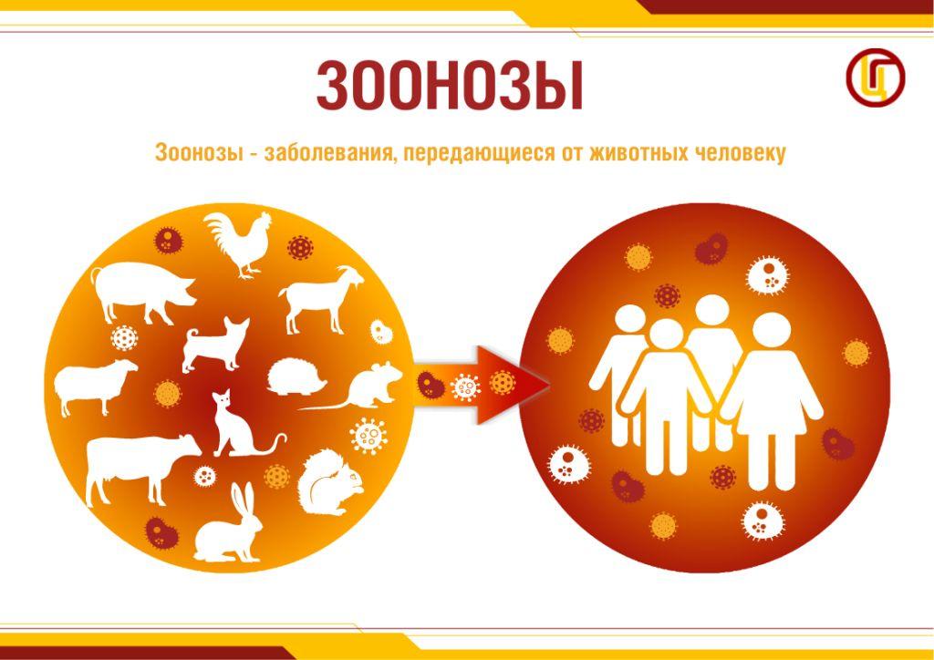 Зоонозы_.jpg