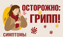Профилактика гриппа и ОРВИ.