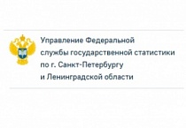 Петростат напомнил гостиницам и базам отдыха Ленобласти о сдаче отчетности.
